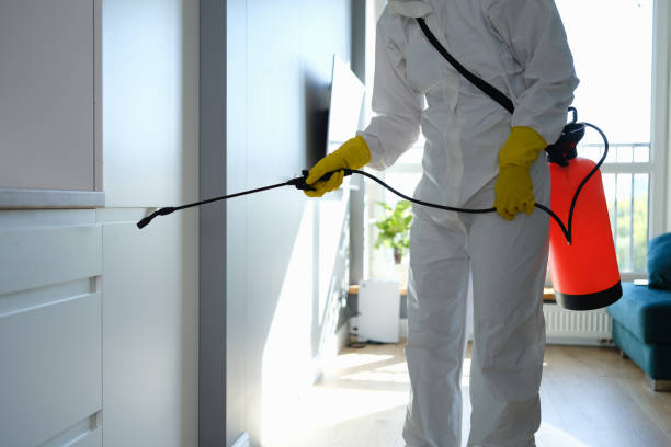 Best Toxic Mold Removal  in West Fairview, PA