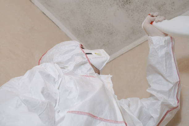 Best Professional Mold Removal  in West Fairview, PA