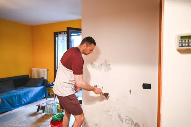 Best Commercial Mold Removal  in West Fairview, PA